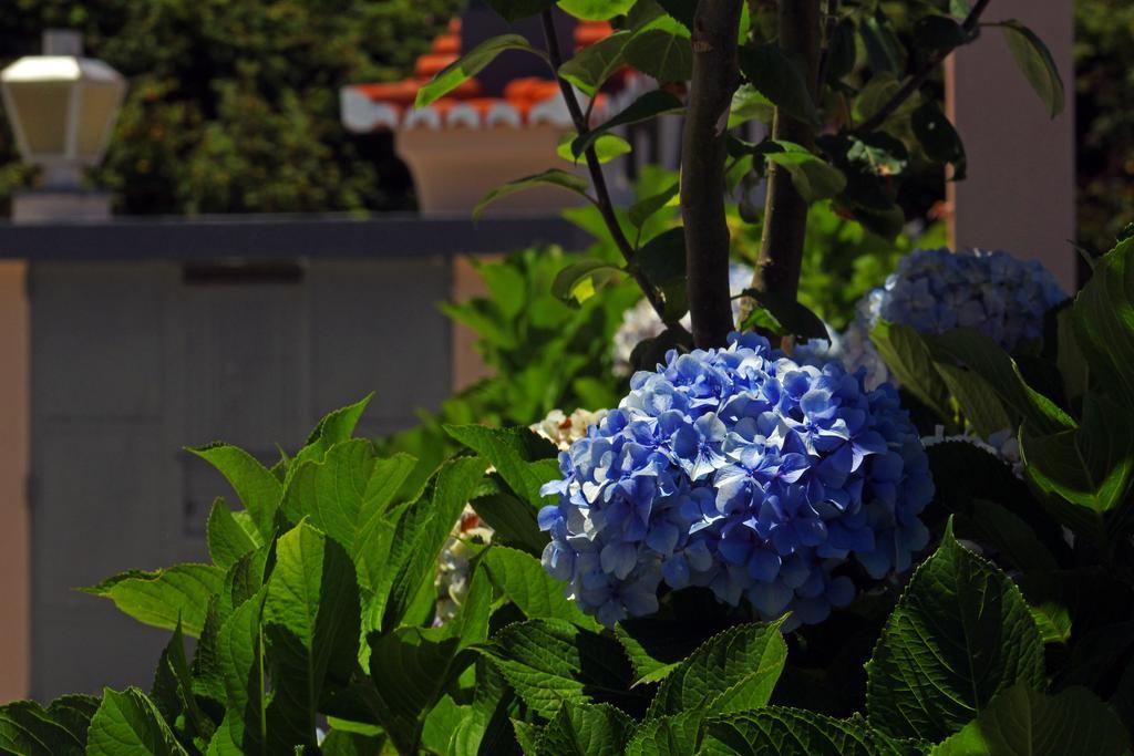Casa Os Manos Guest House Сантана Екстериор снимка